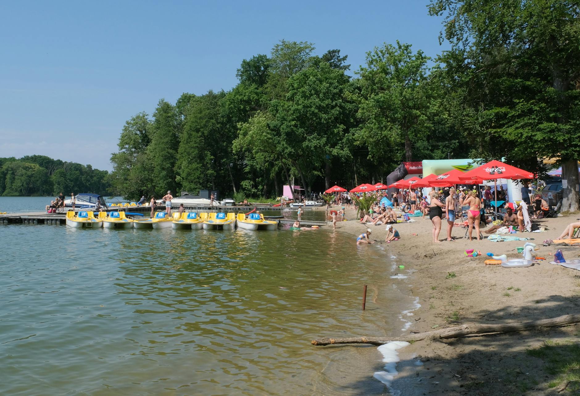 Zielony park w Kobyłce podczas majówki, ludzie odpoczywają na kocach i spacerują.
